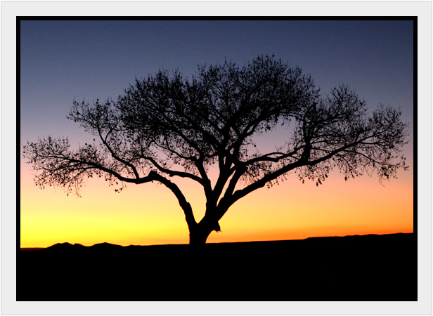 photo of a sunset